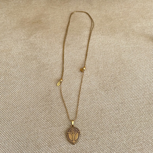 Alex and Ani Jewelry Alex And Ani Unexpected Miracles Acorn Slide